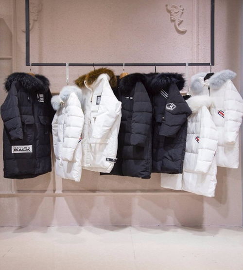 【伊黛爾精品拼皮系列品牌折扣女裝批發(fā)淘寶直播貨源】- 